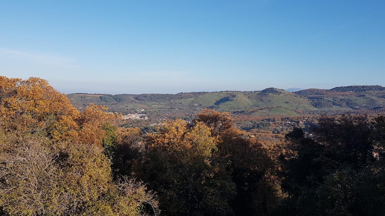 Allegro Luxury B&B Rocca Di Papa Zewnętrze zdjęcie